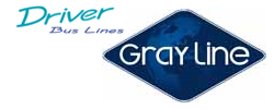 Gray Line - Driver Bus Lines - earlier liveries
